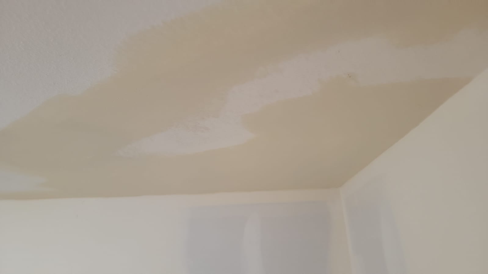 Interior Painting project photo 16