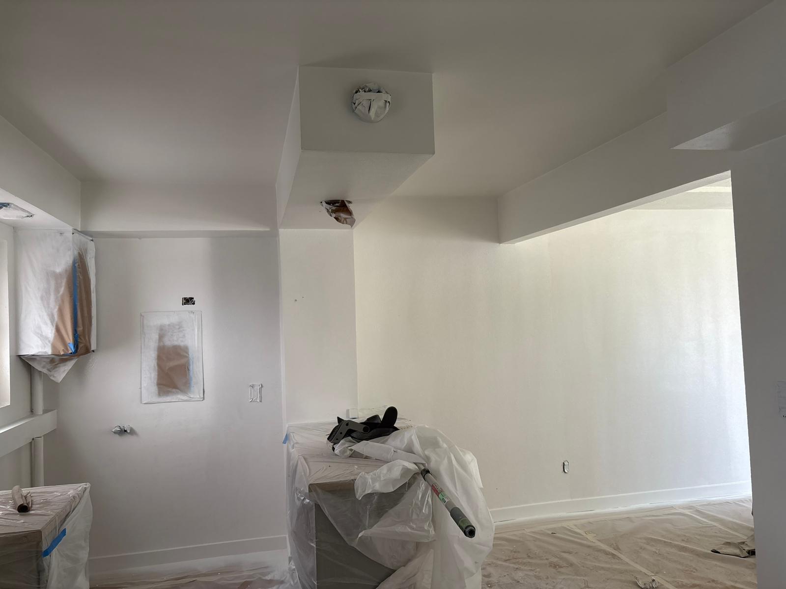 Interior Painting project photo 25