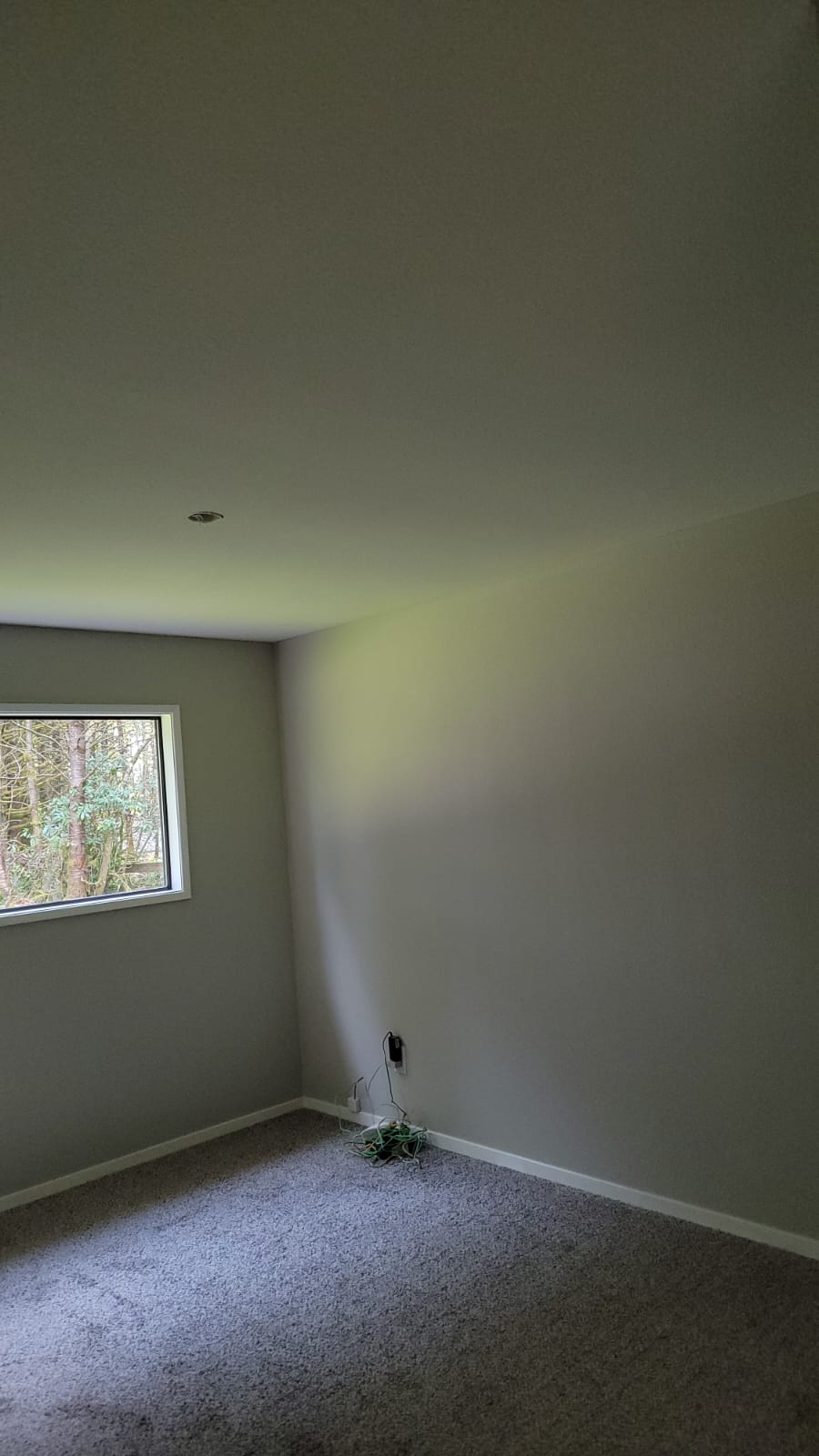 Painting Services project photo 10