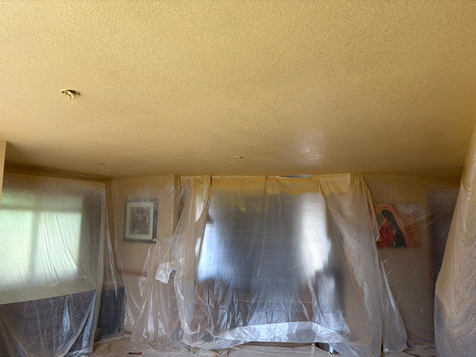 Interior Painting project photo 22
